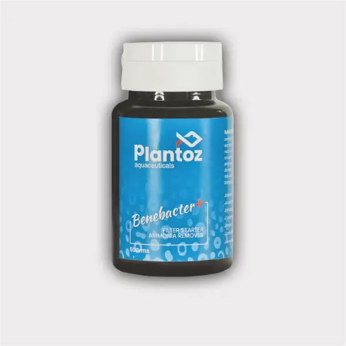 Provides beneficial bacteria for aquarium
