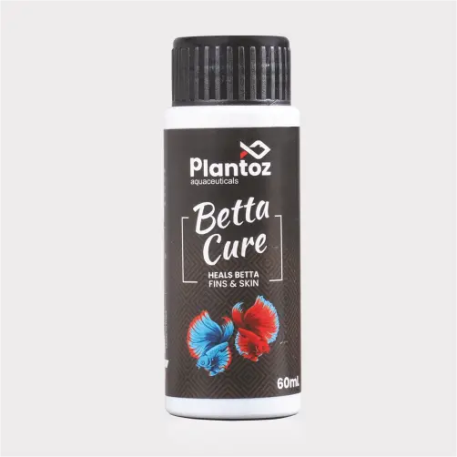 betta/fighter fish medicine