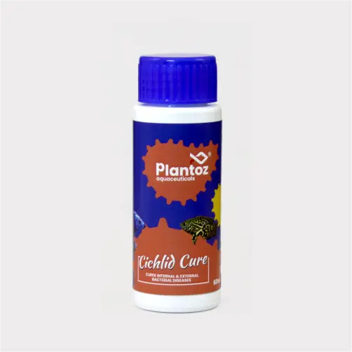 cichlid fish medicine