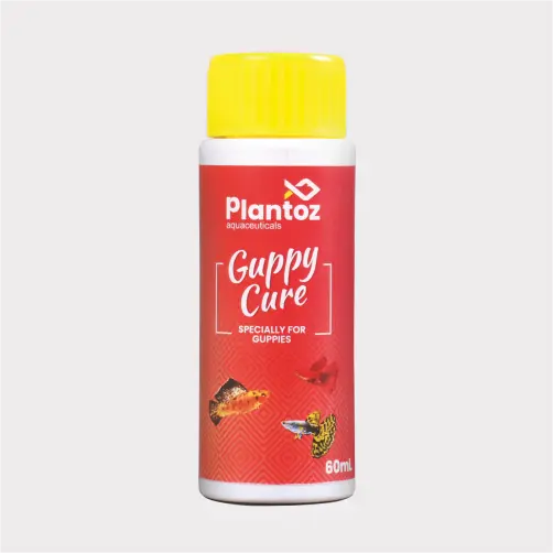 guppy fish medicine