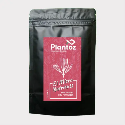 water plant dry fertilizer