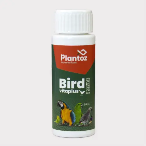 daily vitamin supplement for birds