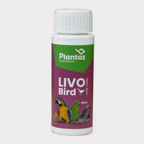 Liver health support medicine